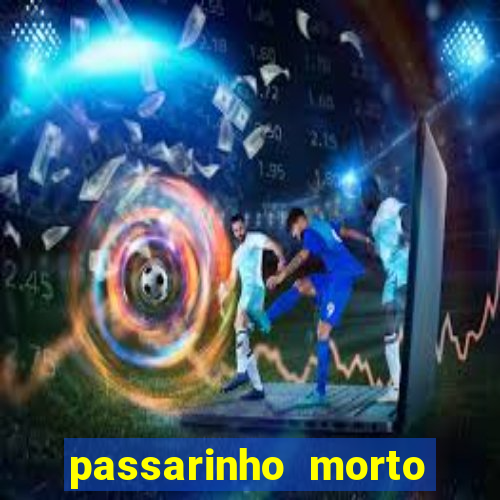 passarinho morto significado espiritual